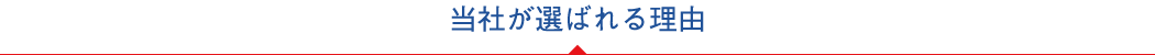 ���Ђ��I�΂�闝�R