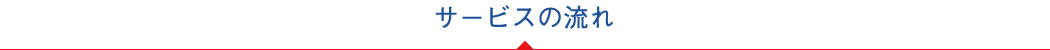 �T�[�r�X�̗���